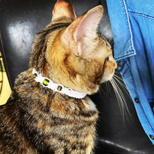 Load image into Gallery viewer, The Jetta (11”)- Custom Hemp Cat Collar