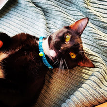 Load image into Gallery viewer, The Jetta (11”)- Custom Hemp Cat Collar